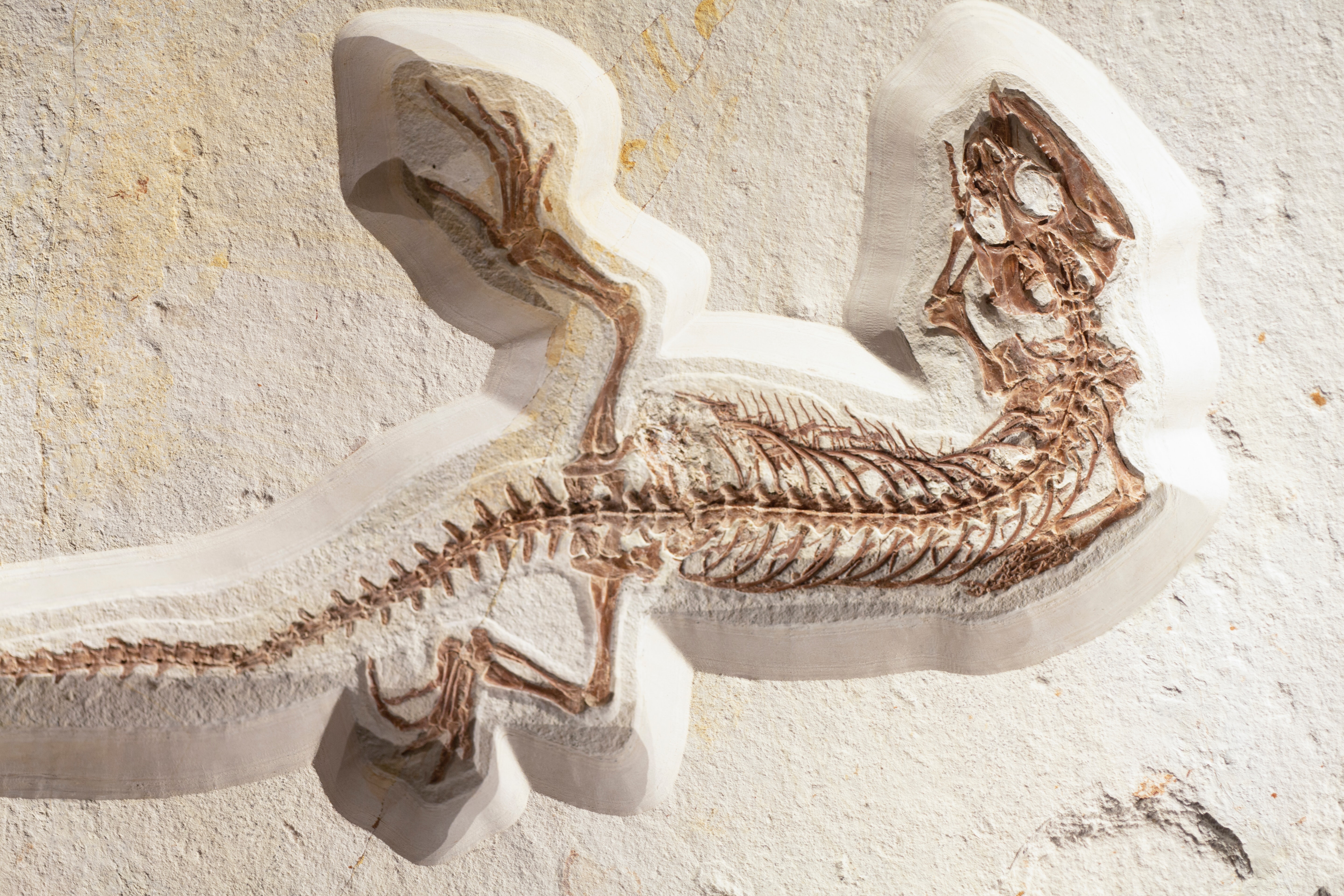 4 Essential Biology Resources That Will Save You!