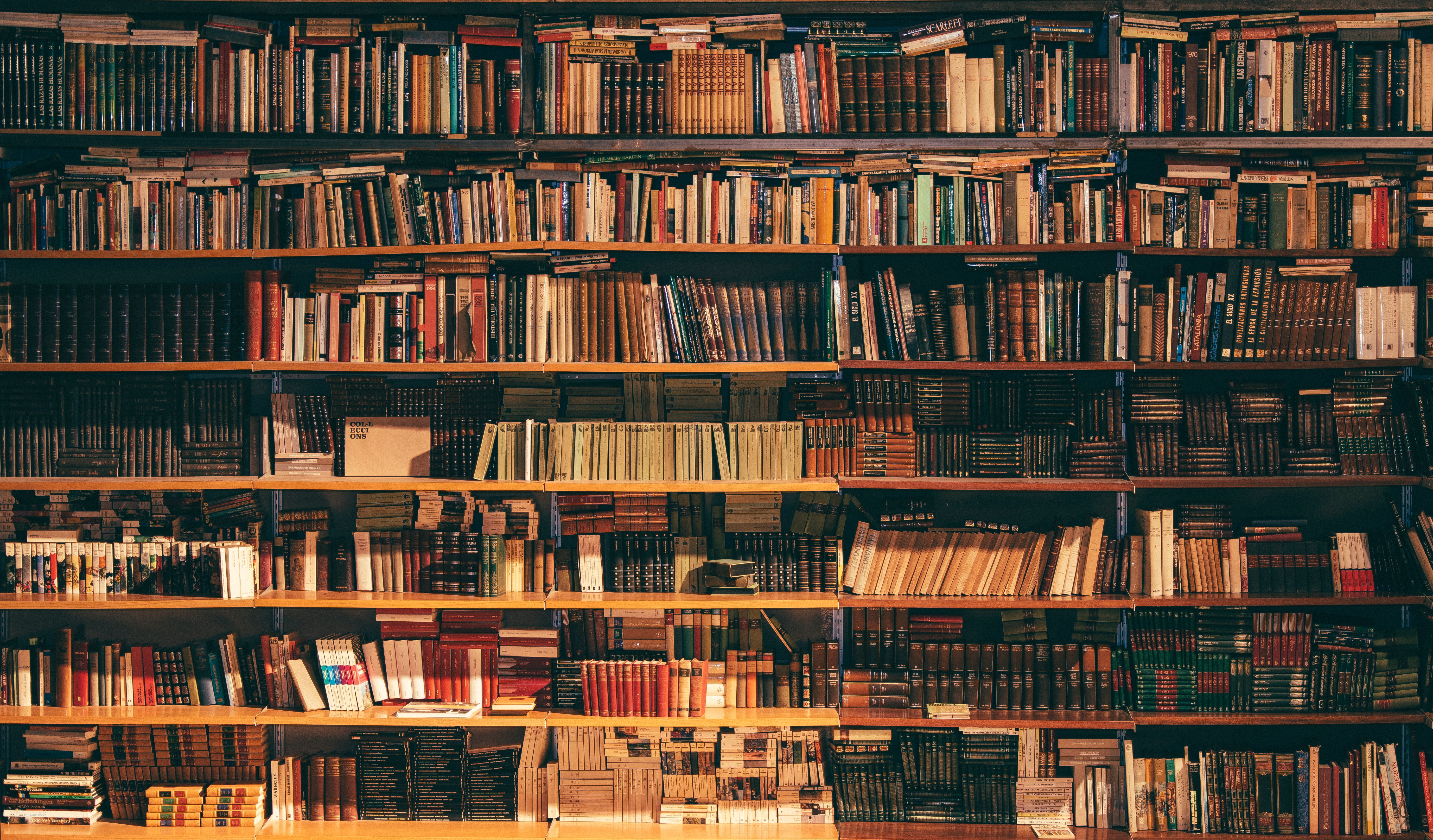 [Outdated] Language B EE: Writing a Book Analysis