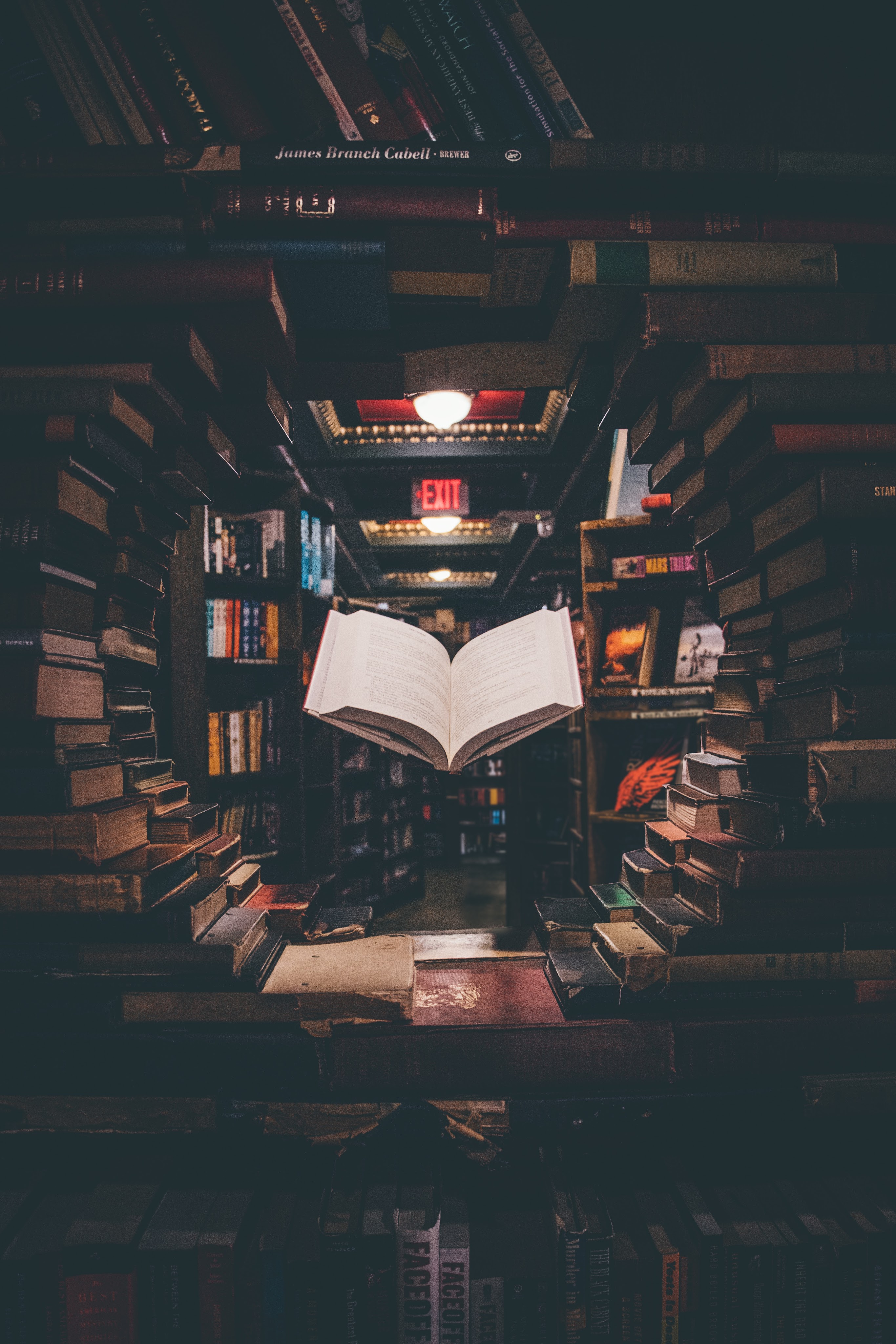 IB English A HL & SL Explained