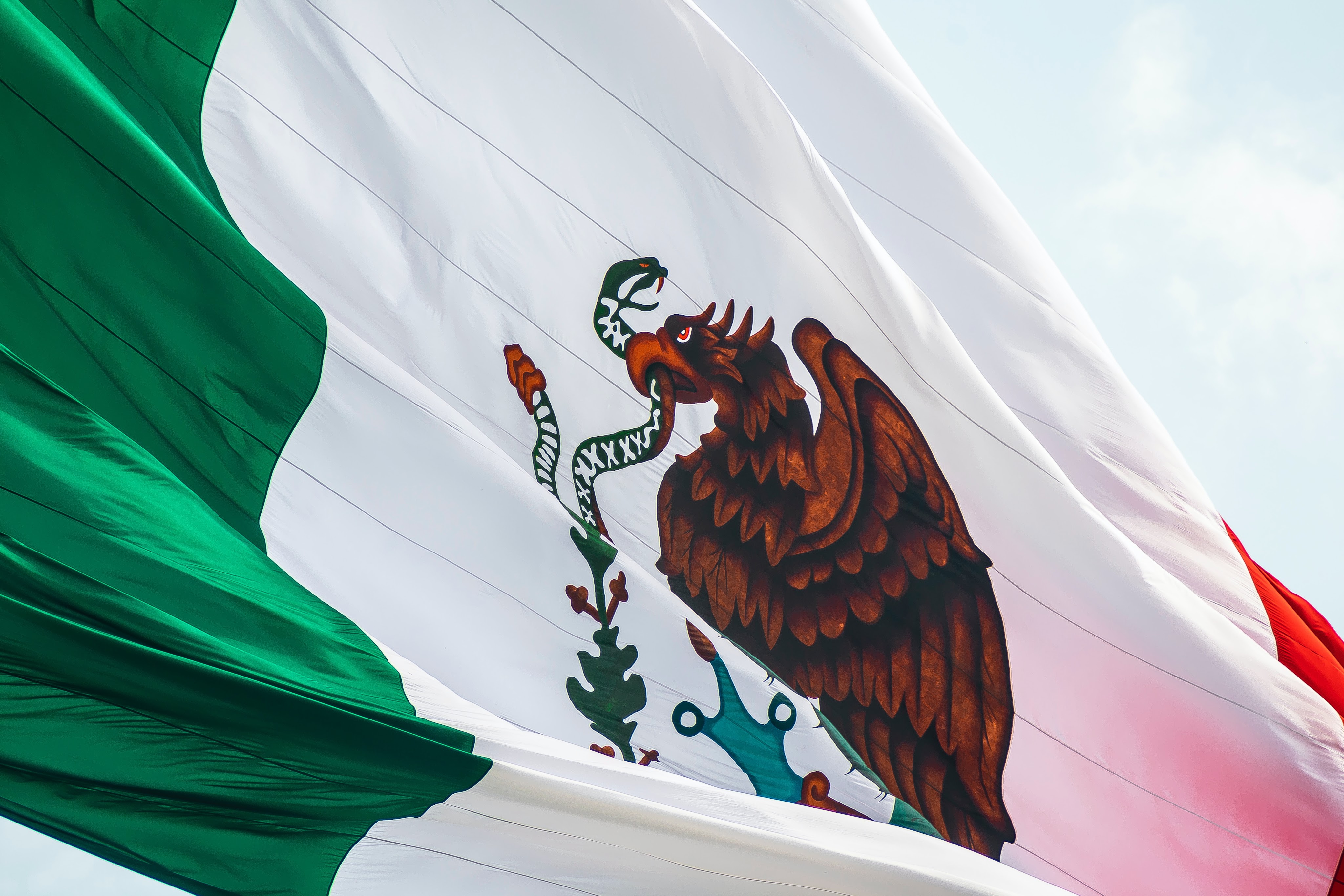 The Domino Effect: How the IBO can aid Latin American students