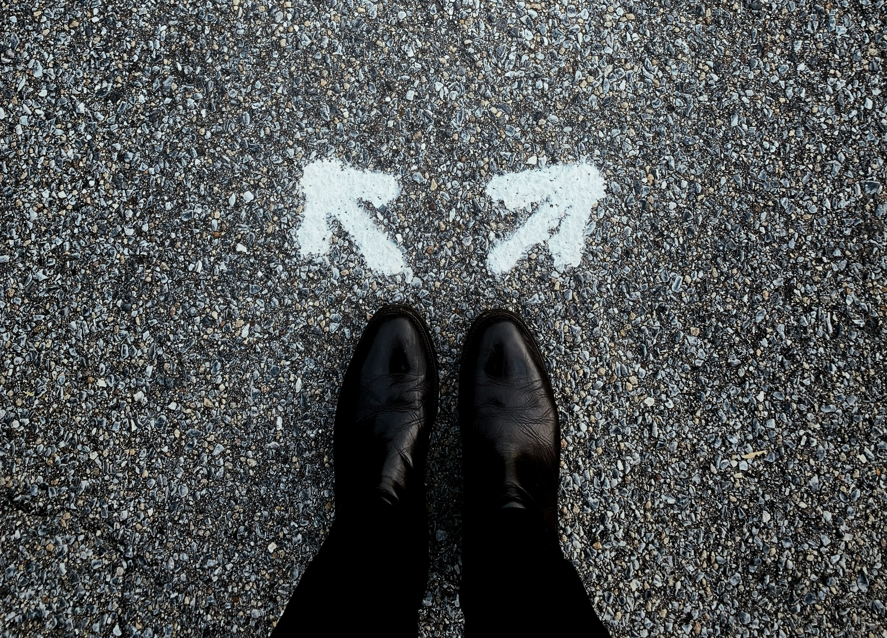 Tips for choosing IB subjects