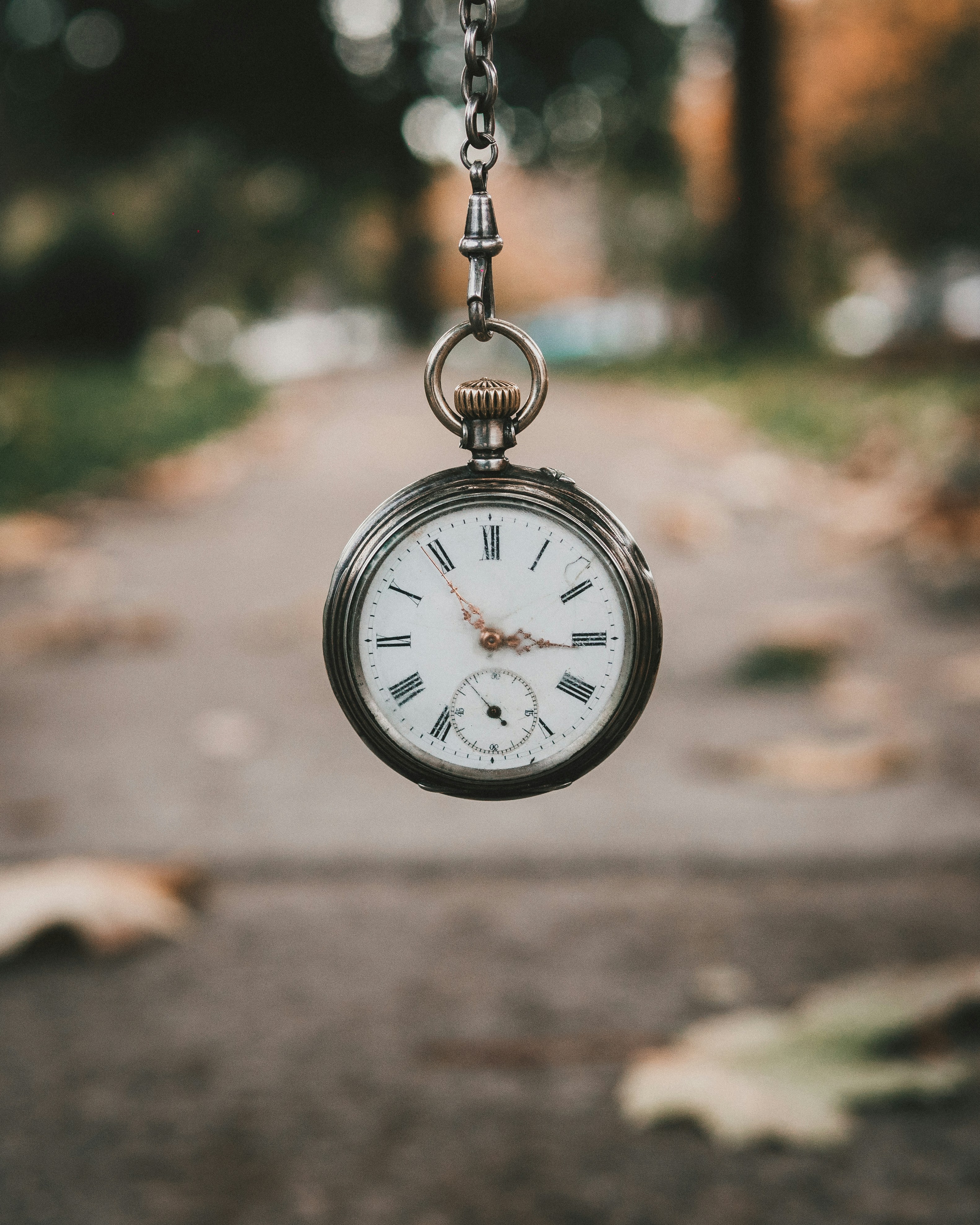 “Time Is Ticking”: An IB Student’s Guide to Procrastination
